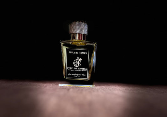 Aura de Homes (Inspired from Terra D'Hermes by Hermes)
